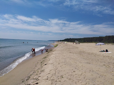 Плаж Камчия / Kamchiya Beach