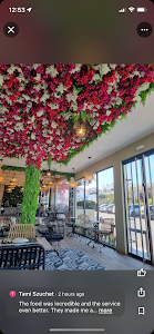 KooKoo Bar Restaurant Rooftop — fotografia 5