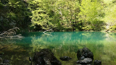 Risnjak National Park — fotografia 2