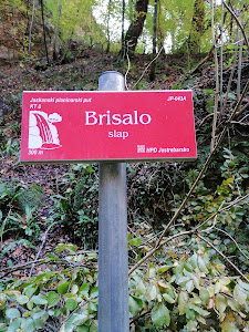 Slap Brisalo - Slapnica — fotografia 5