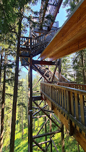 Glemmtaler Baumzipfelweg — fotografia 5