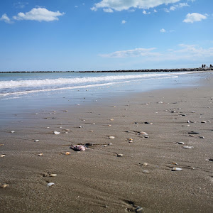 Spiaggia libera di Lido di Classe — fotografia 5
