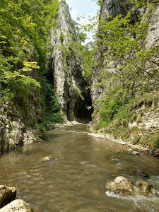 Cheile Râmețului — fotografia 3