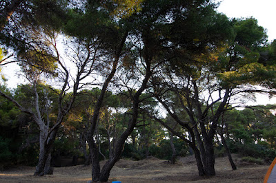 Paralia Elea — fotografia 5