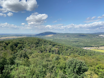 Königswarte Lookout Tower — fotografia 3