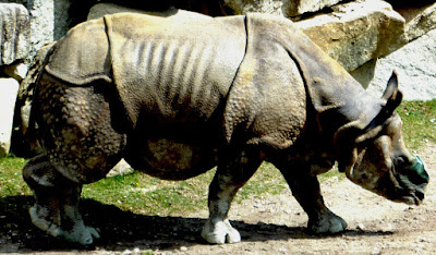 Grădina Zoologică Hellabrunn — fotografia 5