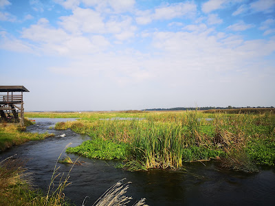 Śliwno - Kładka (zamykane na okres zimowy) — fotografia 3