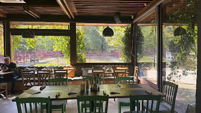Green Bistro — fotografia 3