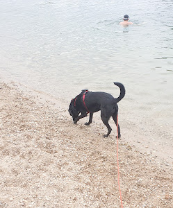 Binsfeldsee — fotografia 4