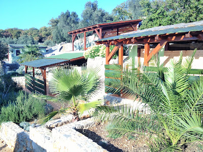 MARUŠINA OLIVE HILLS - glamping & minicamp — fotografia 5