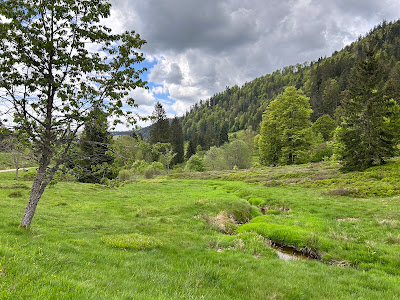 Geißenpfad Menzenschwand — fotografia 5