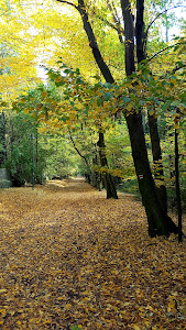 Mountain Park — fotografia 5
