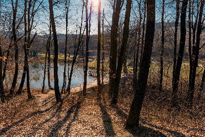 Váraljai parkerdő — fotografia 5