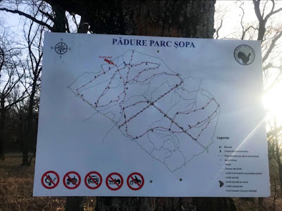 Pădurea Parc Șopa - Șelimbăr — fotografia 3