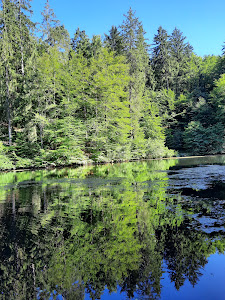 Kreuzbergl Lake 3