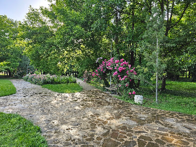 Rose Garden — fotografia 4