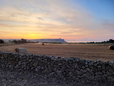 Tenuta L'Alba di Monte Matino agricampeggio — fotografia 5