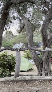 Camping Maddalena — fotografia 5