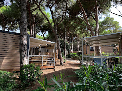 The Camping Capannino — fotografia 3