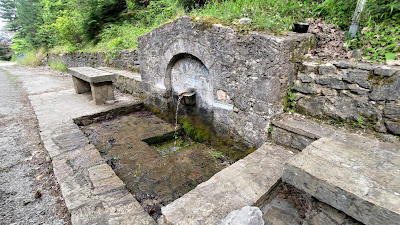 Manganiari Spring — fotografia 4
