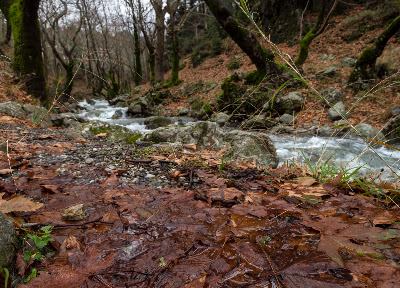 Μονοπάτια Σ 2 & Σ 3 — fotografia 3