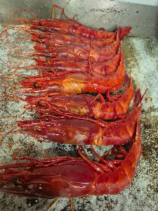 Restaurante Marisquería La Cantina — fotografia 3