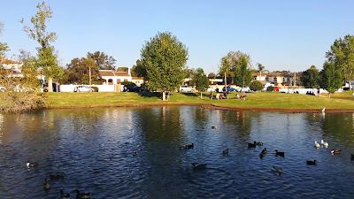 Lago de los patos de Guadacorte — fotografia 2