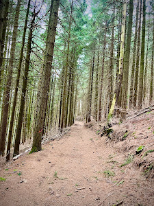 Hahn und Henne Premium-Wanderweg — fotografia 3