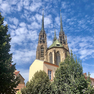 Catedrala Sfinții Petru și Paul din Brno — fotografia 4