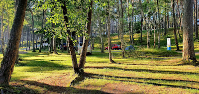 Camping FLY Resort Łeba — fotografia 3