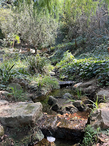 Jardi Botanic Historic — fotografia 4