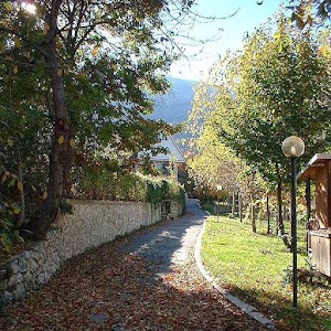 Agricampeggio Colle dei Lupi — fotografia 5