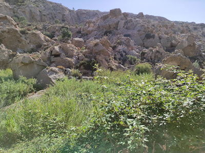 Nacimiento del Río Aguas — fotografia 3