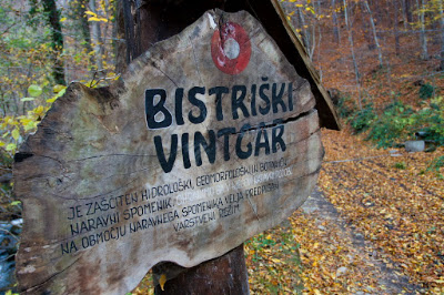 Bistriški vintgar — fotografia 5