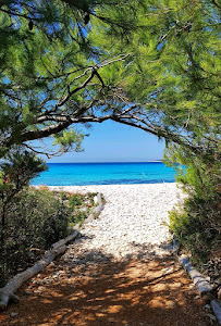 Veli Žal Beach — fotografia 5