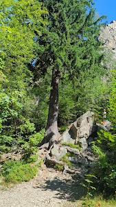 Krucze skały — fotografia 2