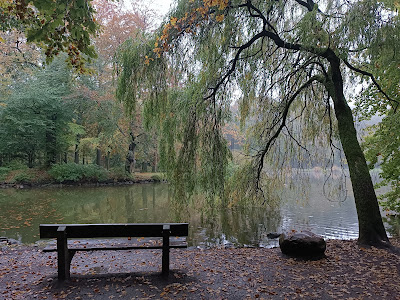 Julianen Park — fotografia 5
