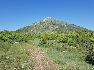Siljak — fotografia 5
