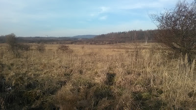 Górka Pychowicka — fotografia 3