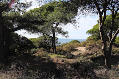 Playa de los Enebrales — fotografia 5