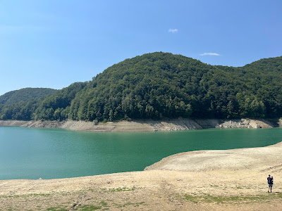 Paltinu