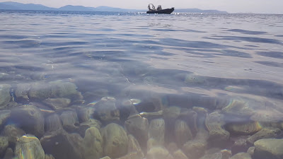 Beach Dafni of Evia — fotografia 4