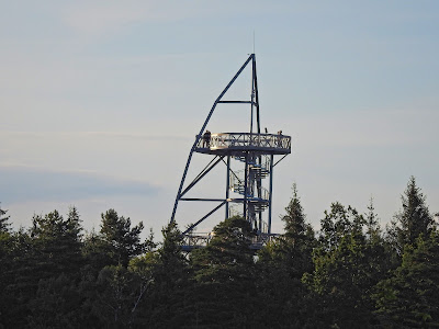 Młynica (Mill Hill) Observation Tower — fotografia 3