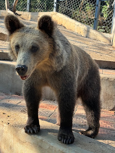 Stara Zagora Zoo — fotografia 5