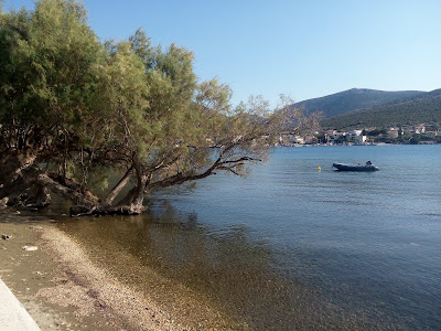 Παραλία Αλμυροποτάμου — fotografia 3