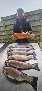 Trout Bergharen — fotografia 5