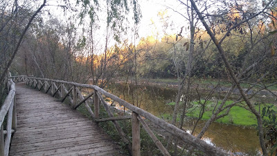 Guadiamar Green Corridor — fotografia 3