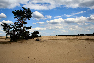 Het Nationale Park De Hoge Veluwe