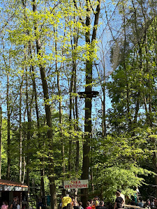 Adventure Three Oaks Park — fotografia 4