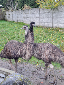 FAUNAPARK ZOO — fotografia 5
